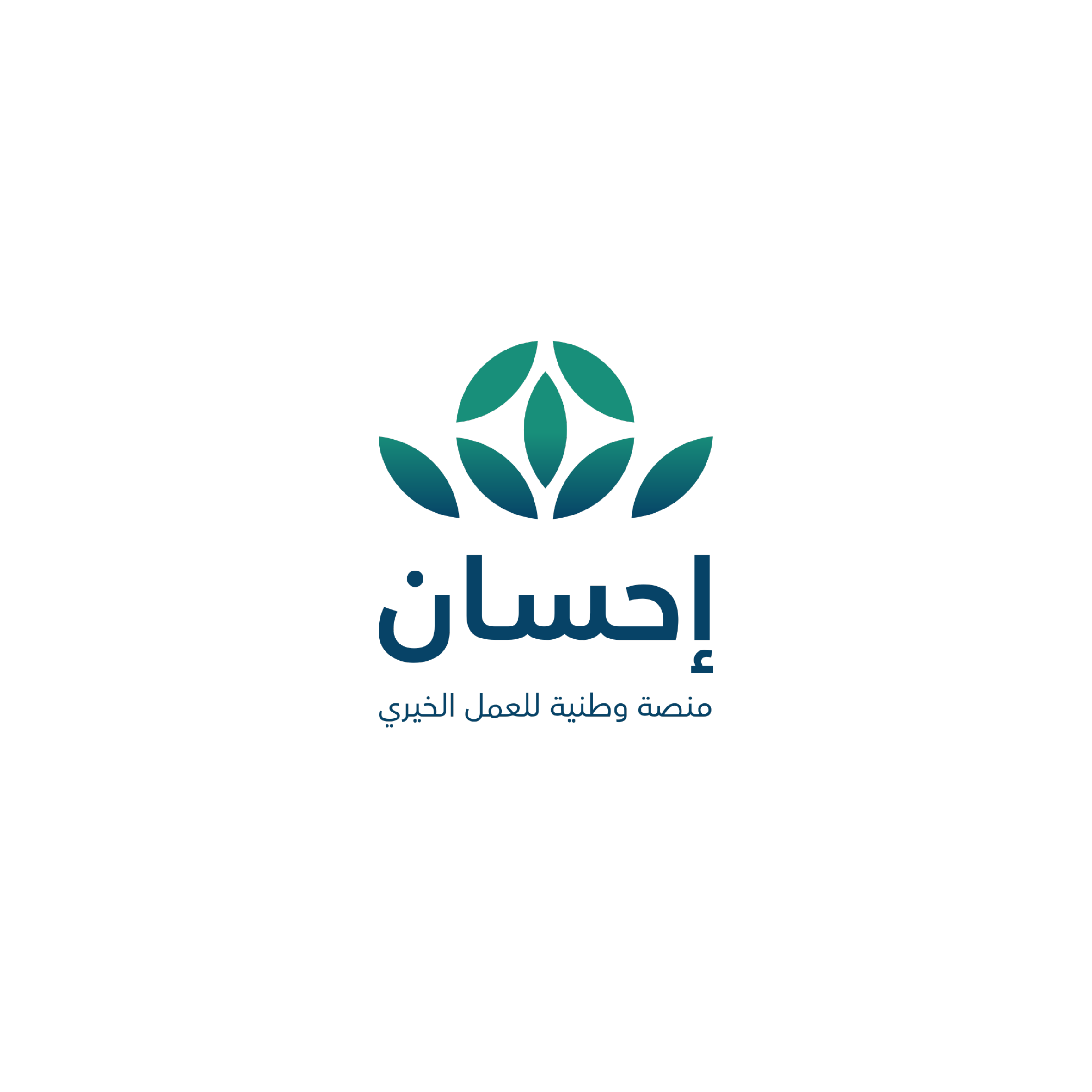 شريك نجاح 29