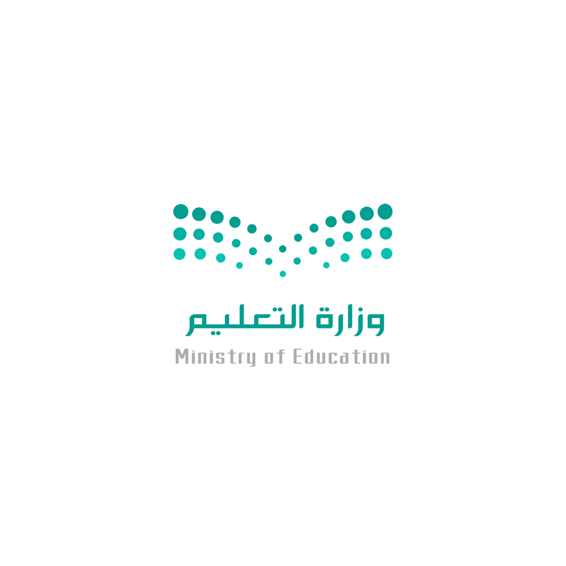 شريك نجاح 33